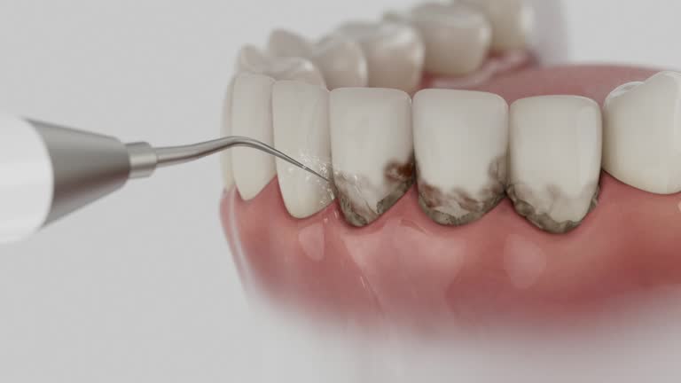 Reliable Dental contractor in Keystone Heights, FL by Dentist Open Now